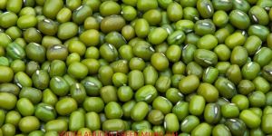 South African Green Moong Dal