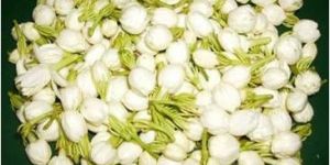 Madurai Jasmine Flower