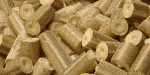 Biomass Briquettes