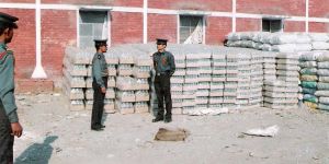 Security Audit and Training