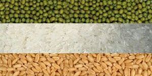 Agriculture Commodities