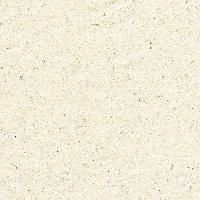 Recycled Paper