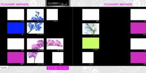 30x45 Cm Glossy Flower Digital Wall Tiles
