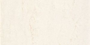 600x600 Mm Double Charge Virtified Tiles with Pink Color
