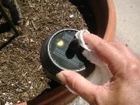 Solar Landscape Lights