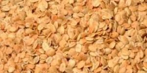 Roasted Coriander Seeds