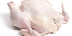 Frozen Chicken
