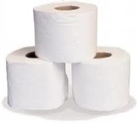 Toilet Paper Rolls
