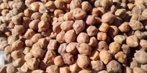 Black Chickpeas