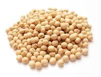 Soya Bean
