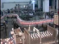 Liquid Bottle Packaging Machine