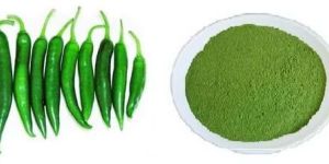 Dehydrated Green Chili Powder