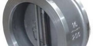 Dual Plate Check Valve