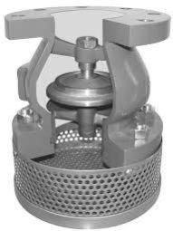 Foot Valve