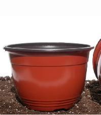 Plastic Pot
