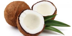 Coconut
