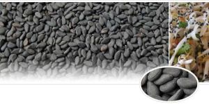 Black Sesame Seeds