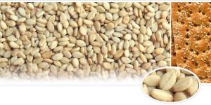 Natural Sesame Seeds