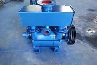 Water Ring Vacuum Pumps