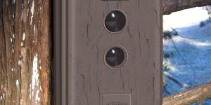 Digital Scouting Camera