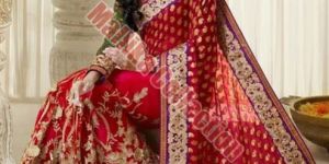 Embroidered Wedding Sarees