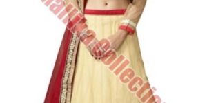 Party Wear Lehenga Choli