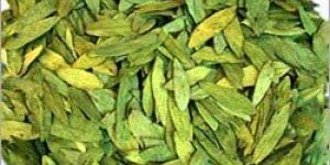 Senna Leaves