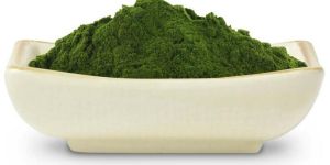 Wheat Grass Powder
