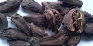 Black Cardamom