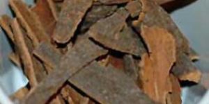 Cinnamon Bark