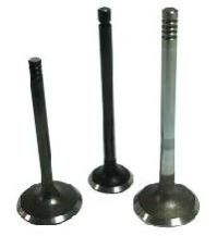 Diesel Engine Valves