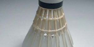 Badminton Shuttlecock