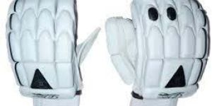 Cricket Gloves