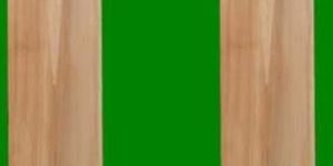 English Willow Cricket Bat