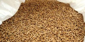Biomass Wood Pellets