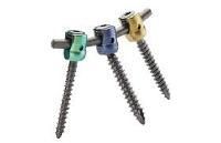 Polyaxial Screw