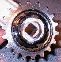 Freewheels