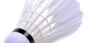 Badminton Shuttlecocks