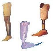 Artificial Body Part