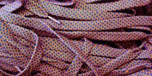 Shoelaces