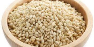 Barley Seeds