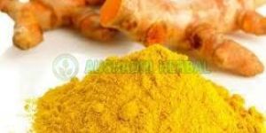 Curcumin Extract