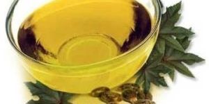 Castor Seed Oil