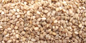 Sesame Seeds