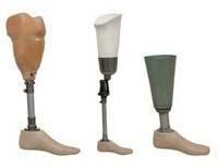 Artificial Body Part