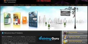 Custom Software Services