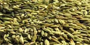 Fennel Seeds