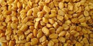 Fenugreek Seed