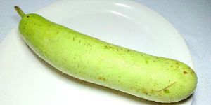 Fresh Bottle Gourd