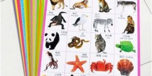 Education Chart Books